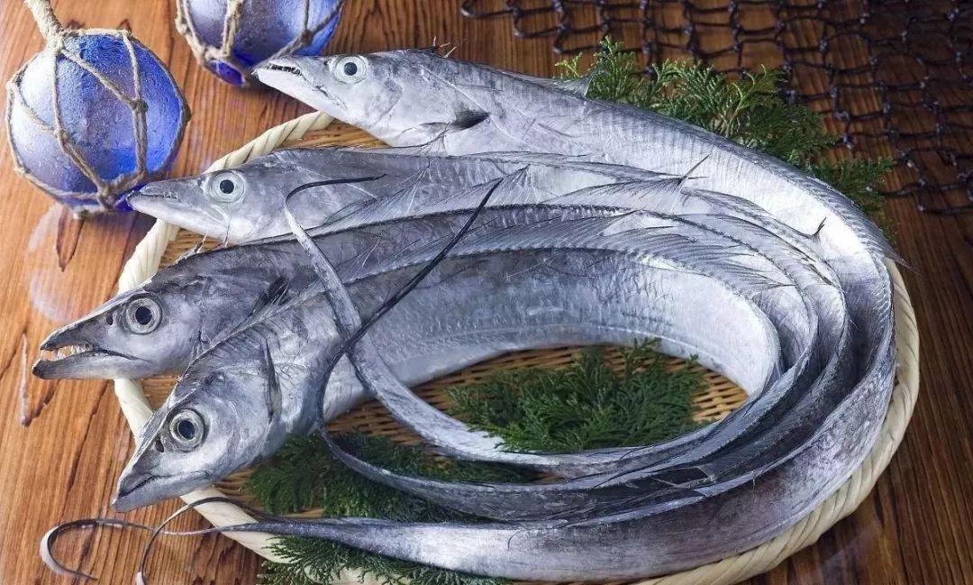 科技引领未来,带鱼市场最新行情深度解析