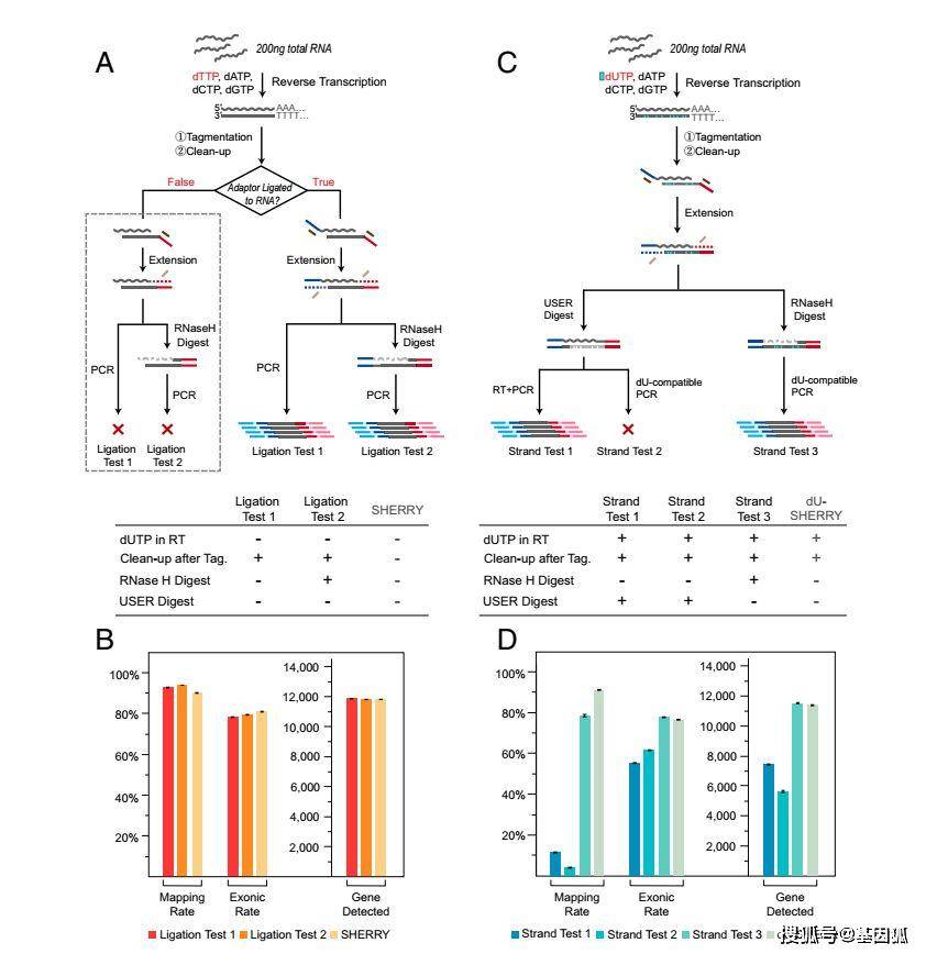4924全年免费资料大全,全面信息解释定义_TPM34.778见证版