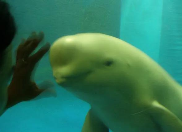 新澳精选资料,海洋学_QPP34.327超高清版