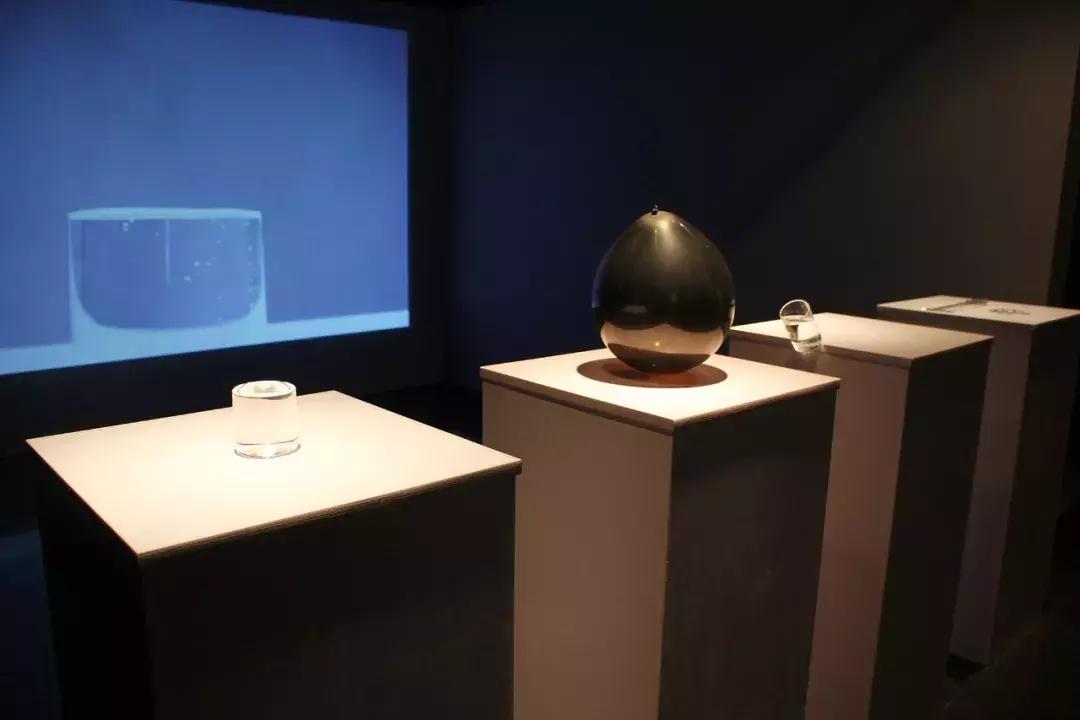 最新套鹧鸪视频,领略鹧鸪的独特魅力!