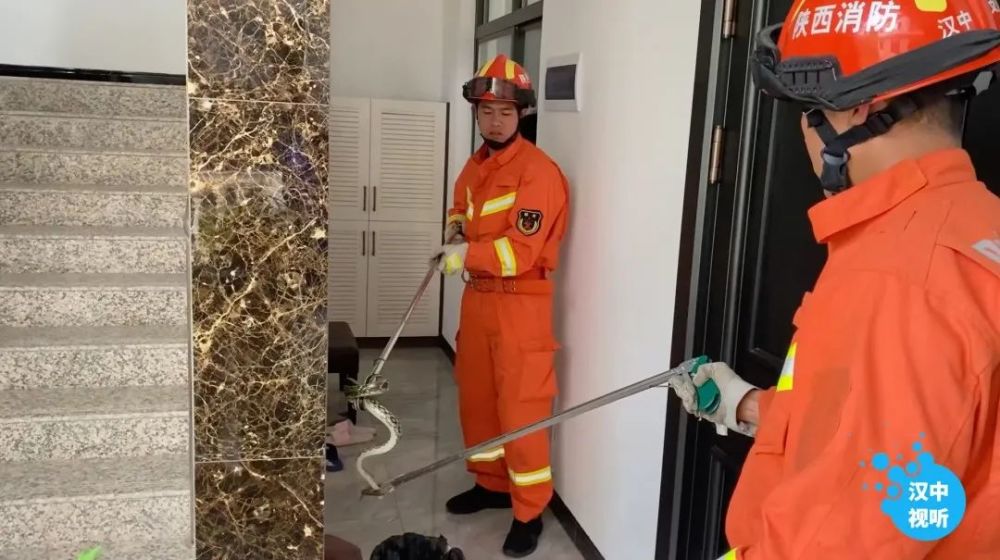 新奥天天精准资料大全,安全保障措施_GXA34.303启动版