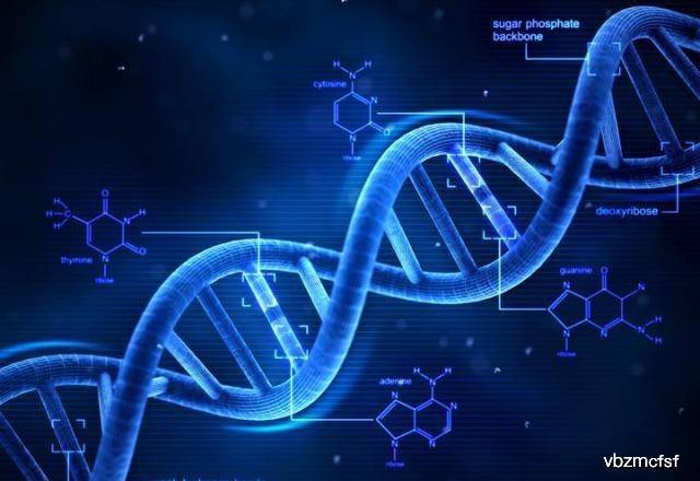 新奥天天彩资料精准,深入研究执行计划_IAC34.779原创版