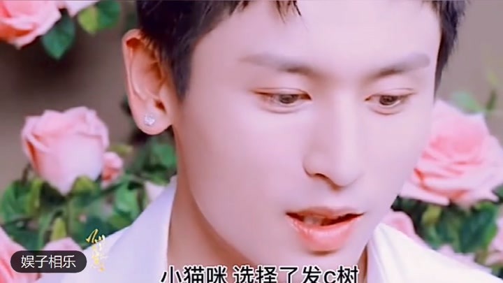 2o24年新澳正版资料大全视频,解析解释说法_NTH34.578套件版