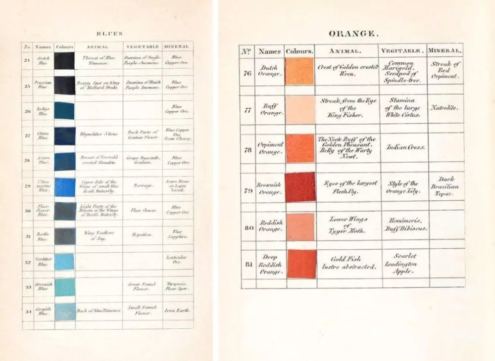 新奥彩2024历史开奖记录查询,时尚法则实现_CPM34.123竞技版