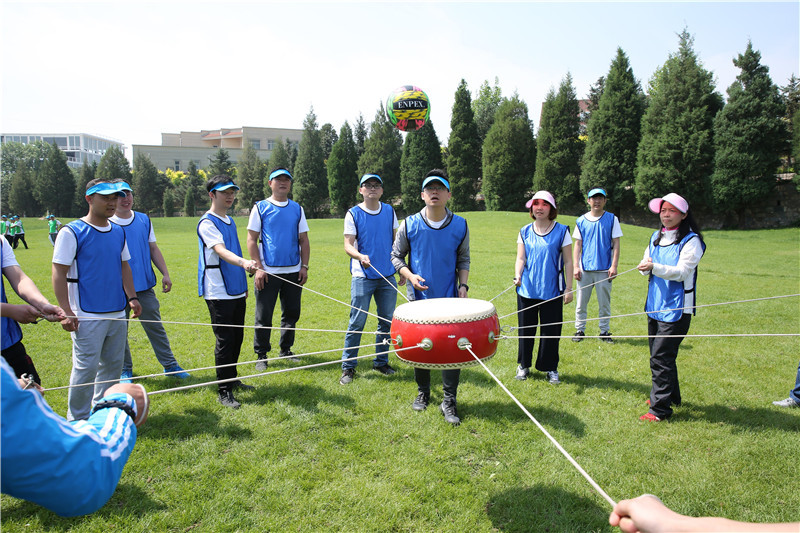 拓展最新项目,深度解析与观点论述