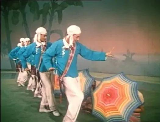 最新歌舞电影,与自然共舞,探索内心宁静之旅