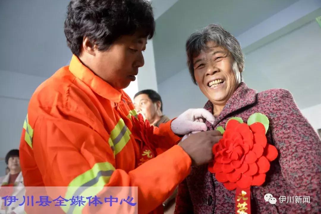 伊川新闻快报,最新动态与资讯✨