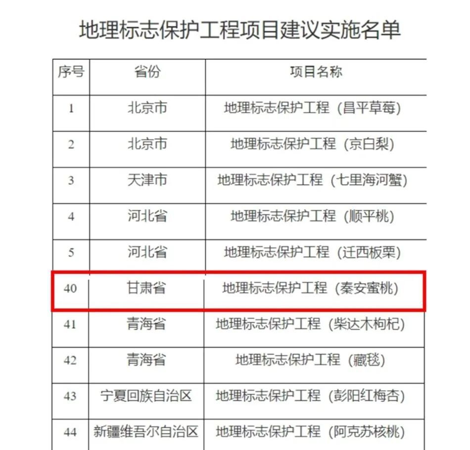 2024新版四不像图,精准分析实践_DRL49.180抓拍版