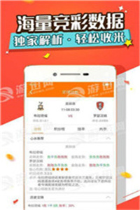 新澳2024管家婆资料正版大全,专业解读操行解决_OPP49.880内置版
