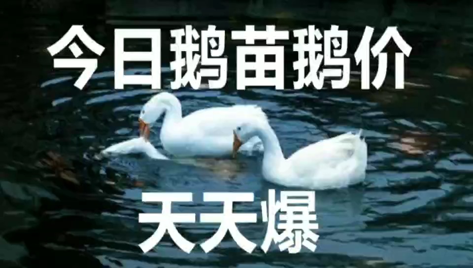 实验行业冷库 第308页
