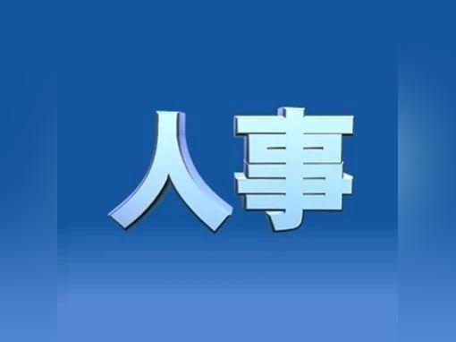 中央最新人事任免动态及解析