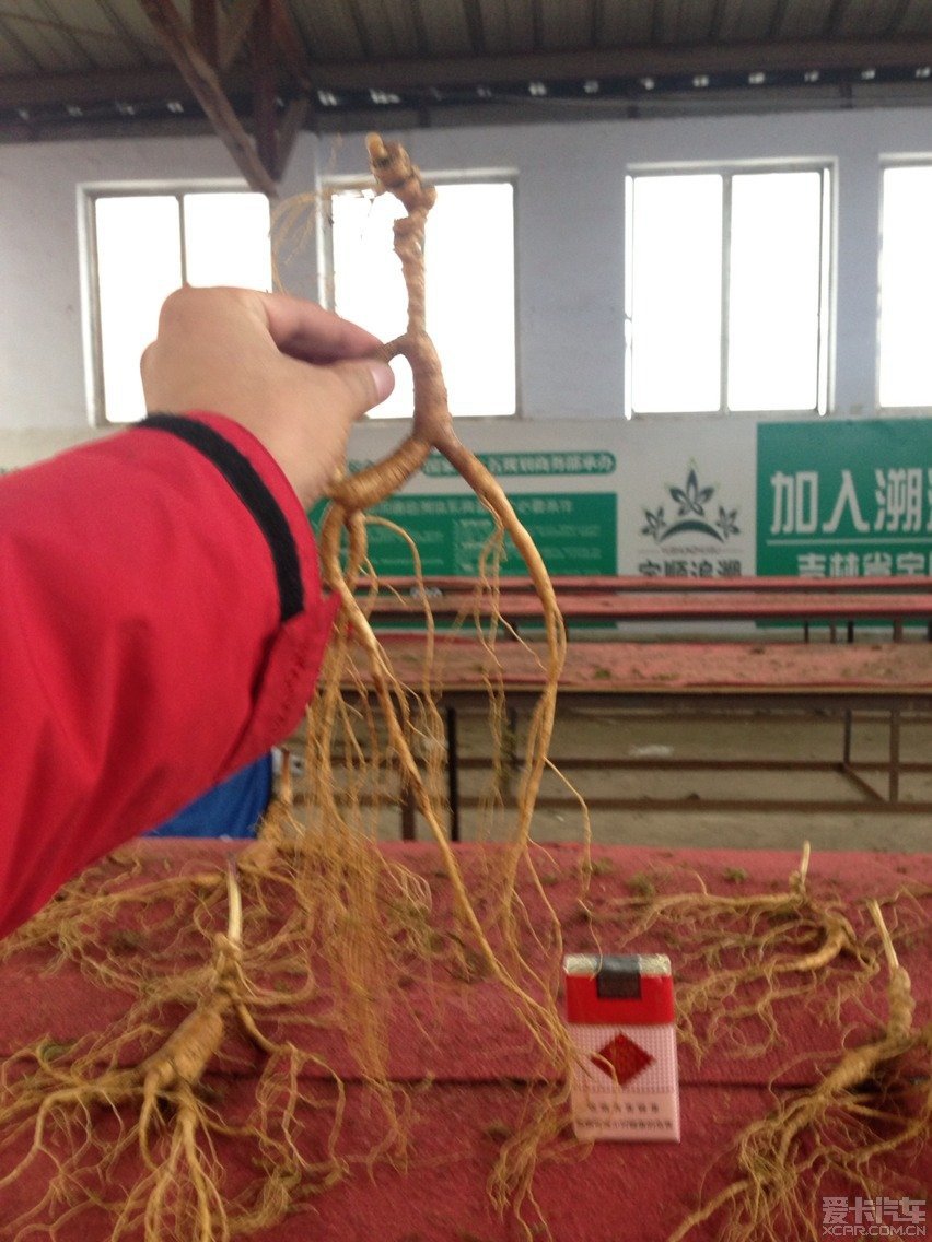 万良人参价格暴跌背后的故事，寻找内心平静的旅行之旅