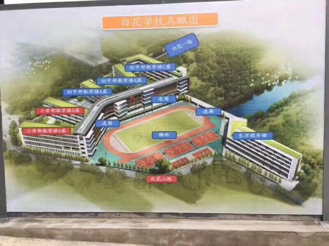 深圳光明白花学校，梦想起航，自信塑造未来