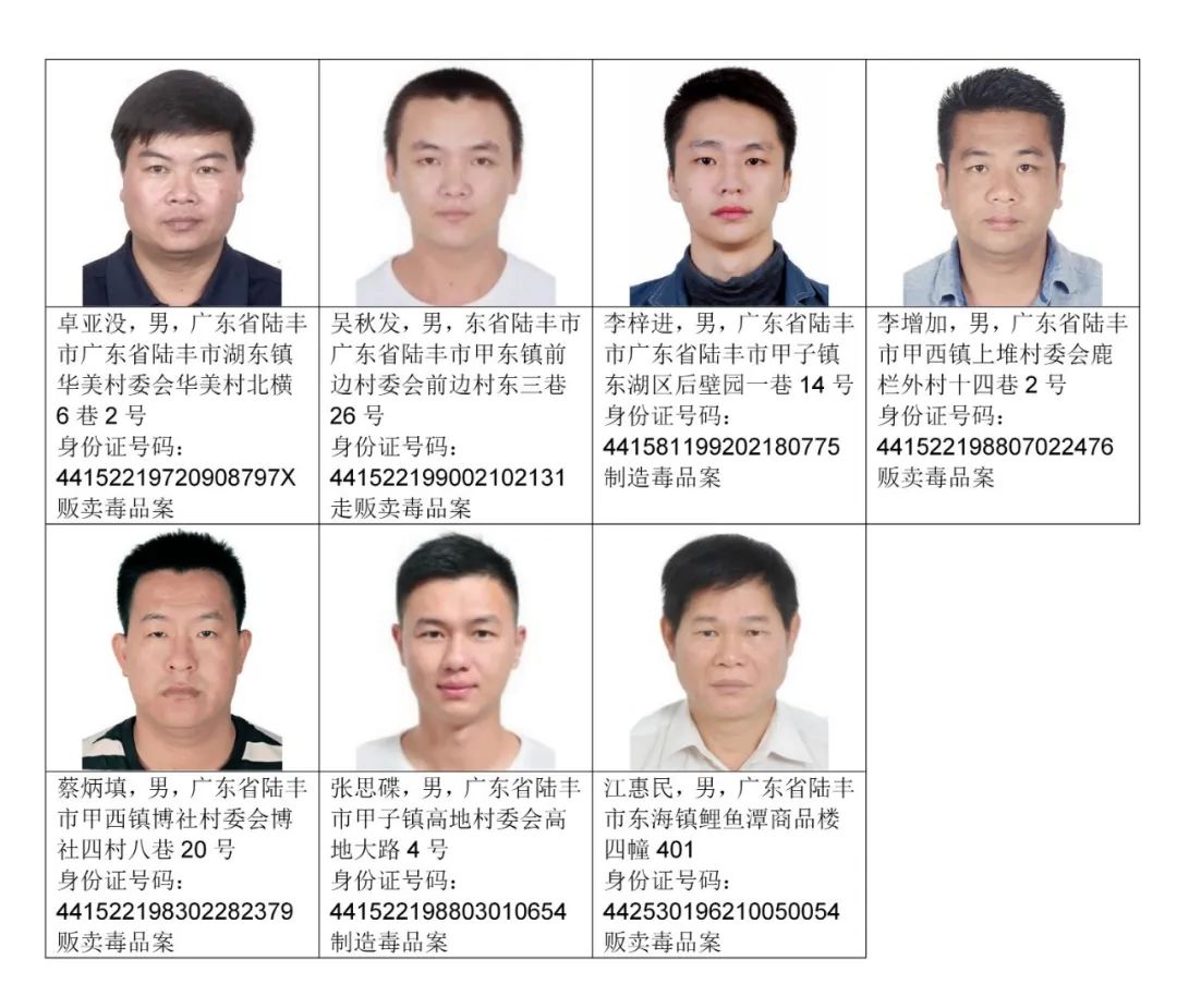 汕尾网上最新通缉犯，阴影下的追踪行动