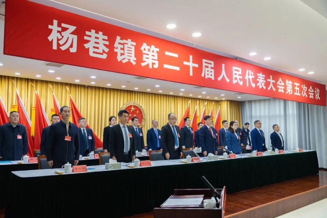 杨巷镇政府最新公告,杨巷镇政府最新公告，小巷深处的独特风情小店等你来探索！