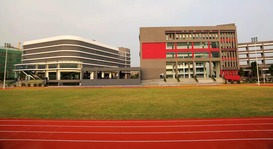 深圳湾学校最新动态,破浪前行的学习之旅