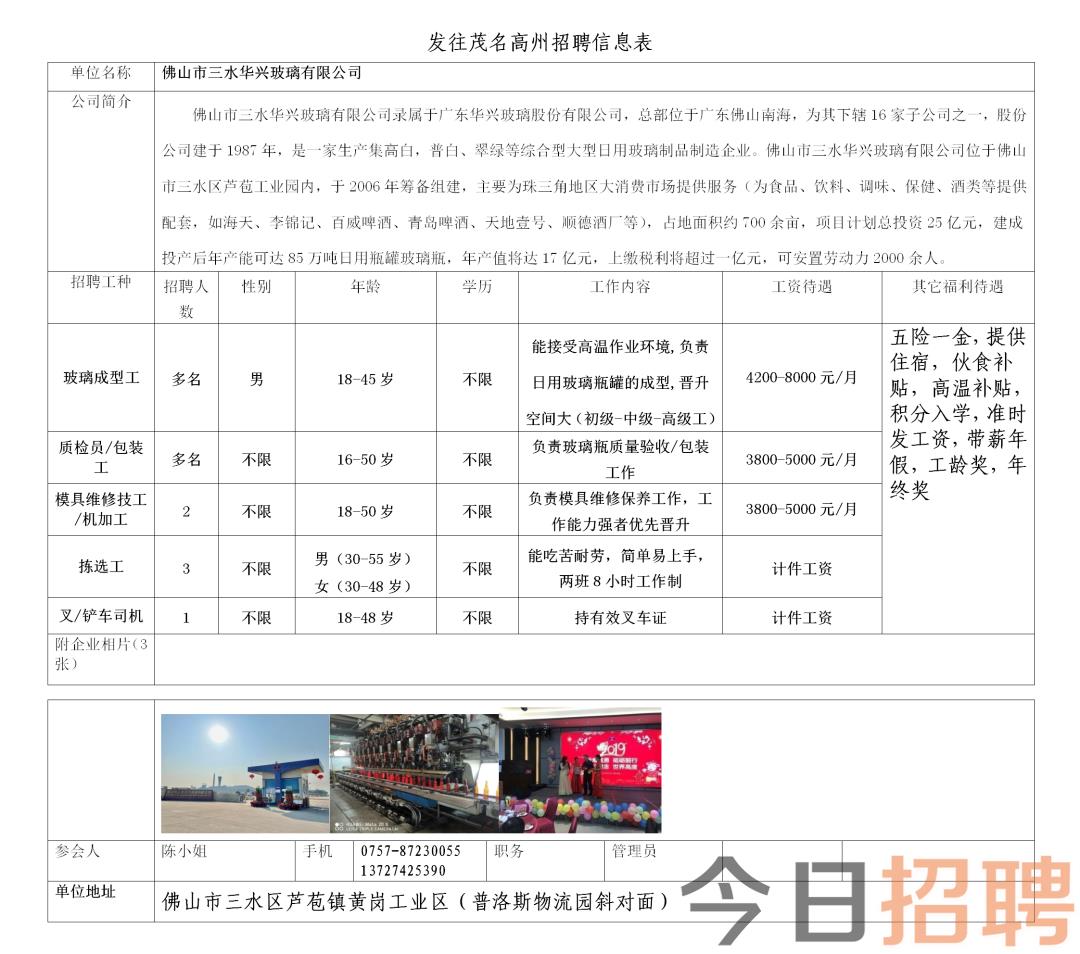 龙口东江最新招聘信息解析与观点论述