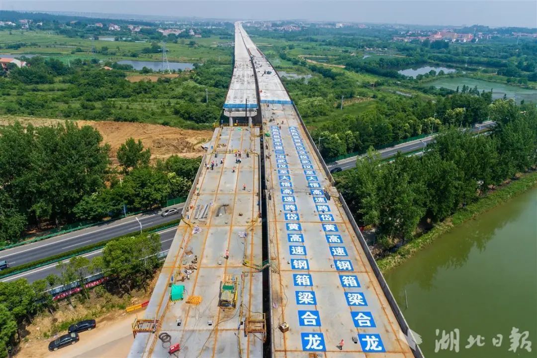 武大高速最新进展更新,建设动态速递