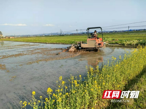 宁乡回龙铺新规划，腾飞新篇章，自信成就之源