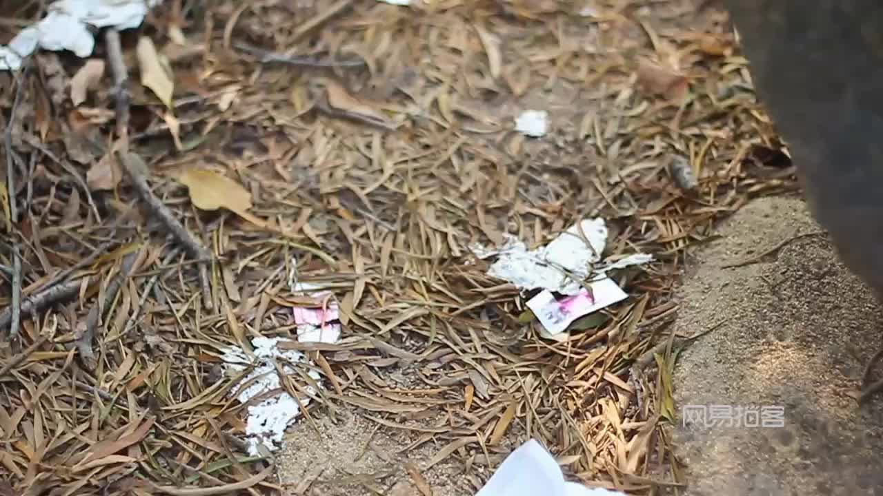 第1288页