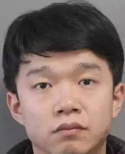 唐爽最新消息,唐爽最新消息及其相关观点论述