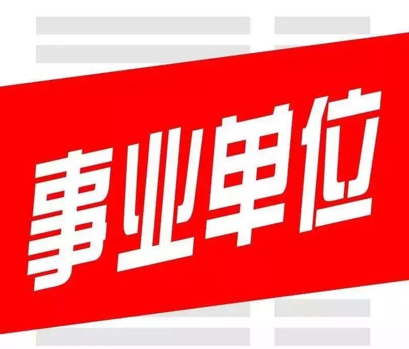 广西柳州最新招聘信息揭秘，小巷中的独特工作机遇