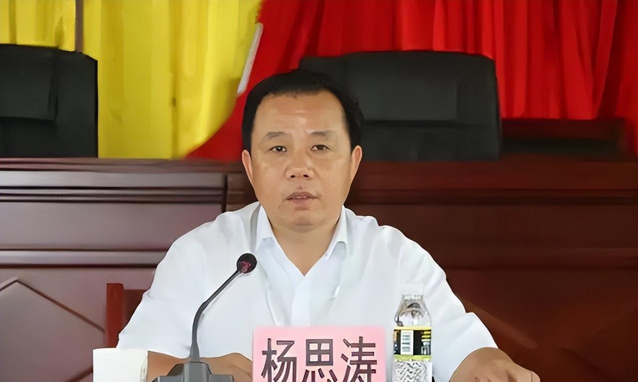 杨思涛最新任免，开启友情、家庭与人生的新篇章