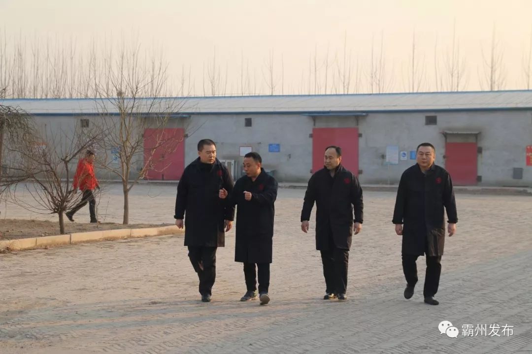 霸州各局领导团队引领科技革新，开启未来生活新篇章