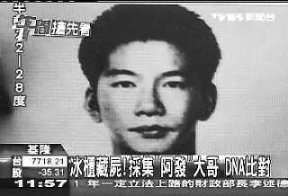最新高州杀人案揭秘，小巷深处的悬疑故事