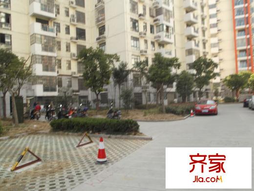 合肥莱茵河畔房价最新动态，探索城市河畔的居住价值