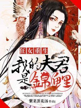 重生攻略夫君，最新章节全解析