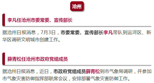 王玉洁最新任免及其相关探讨
