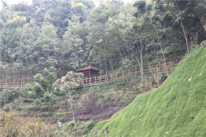 宜昌清江月亮湾最新绝美风光全景展示！