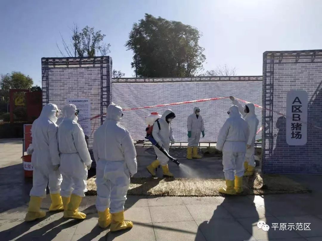 新乡疫情最新动态与论述