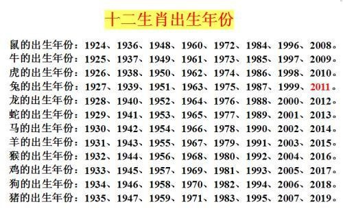 2024十二生肖49码表,专业解读操行解决_通玄境6.223