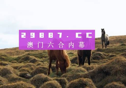 2024澳门特马今晚开奖亿彩网,全面实施策略设计_图形版49.275