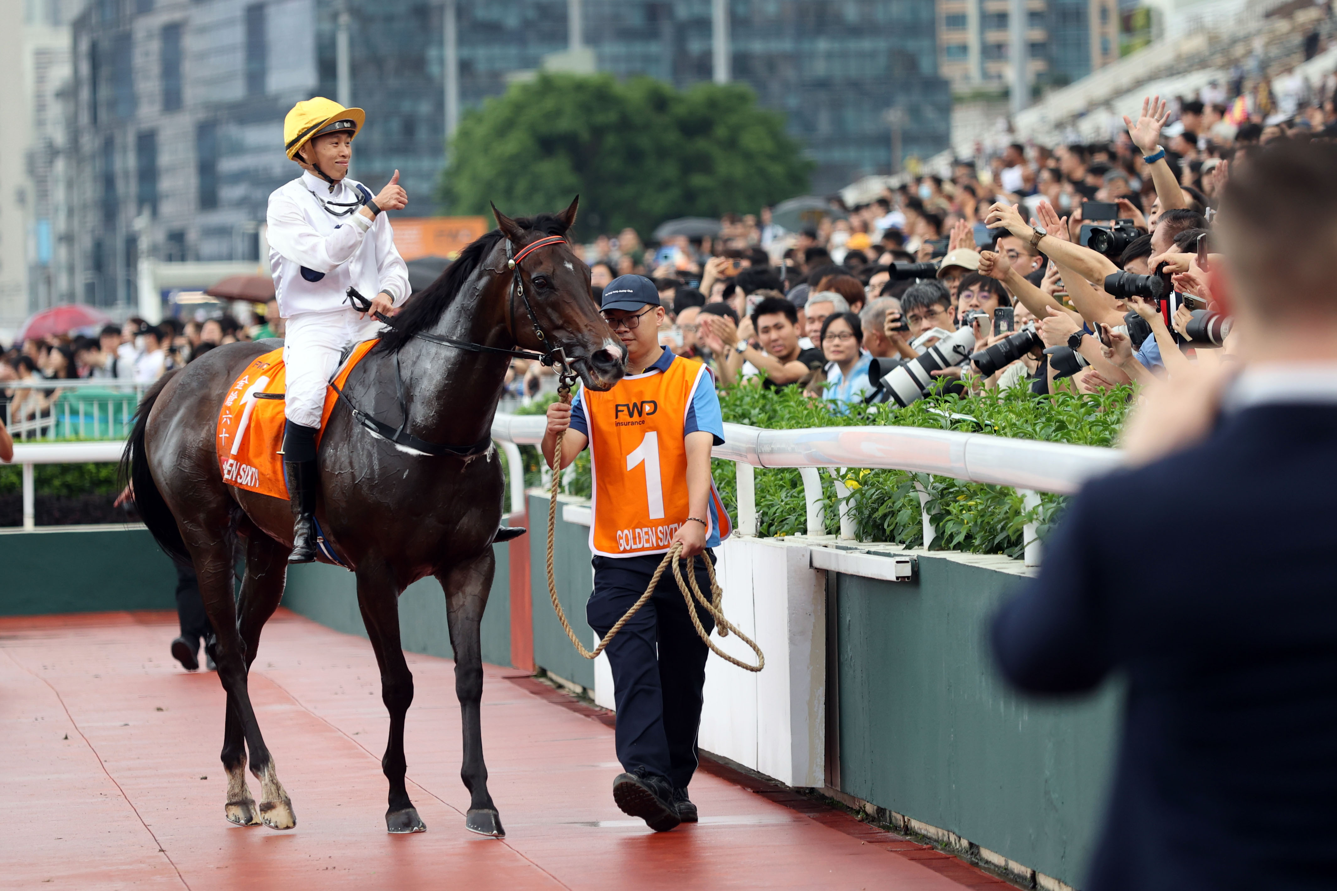 2024香港赛马全年免费资料,高效执行方案_超高清版71.422