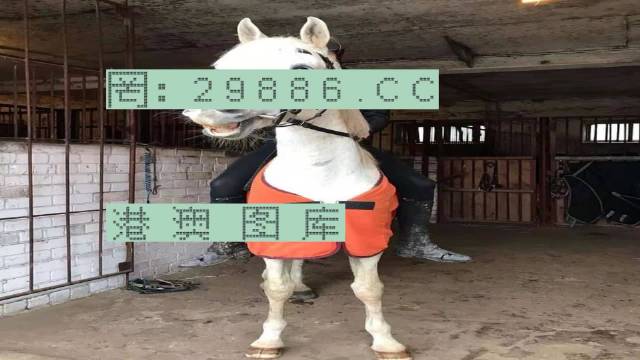7777788888新版跑狗,实地验证实施_掌中宝34.594