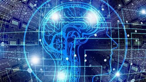 澳门一码一肖一特一中Ta几si,专家解说解释定义_游戏版31.635