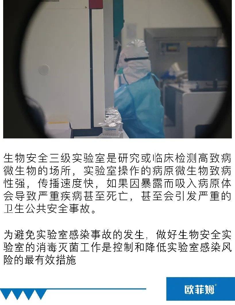 香港免费大全资料大全,安全性方案执行_寓言版39.449