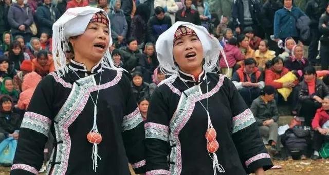 最新壮族歌曲，领略独特民族风情的美妙之旅