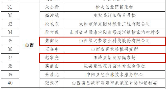 新奥天天免费资料大全正版优势,深入研究执行计划_定向版5.897