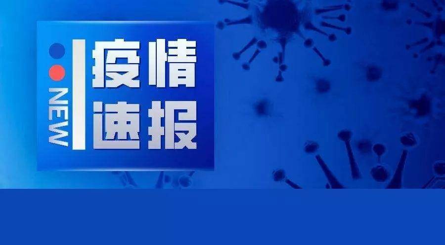 最新疫情快讯，探索内心宁静之旅与大自然共舞