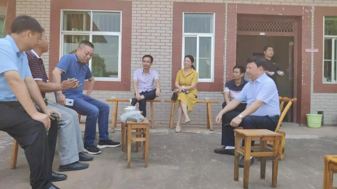 最新柴油报表分析，影响及未来趋势探究