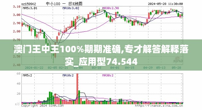 新澳门王中王100%期期中,精准分析实践_光辉版8.176