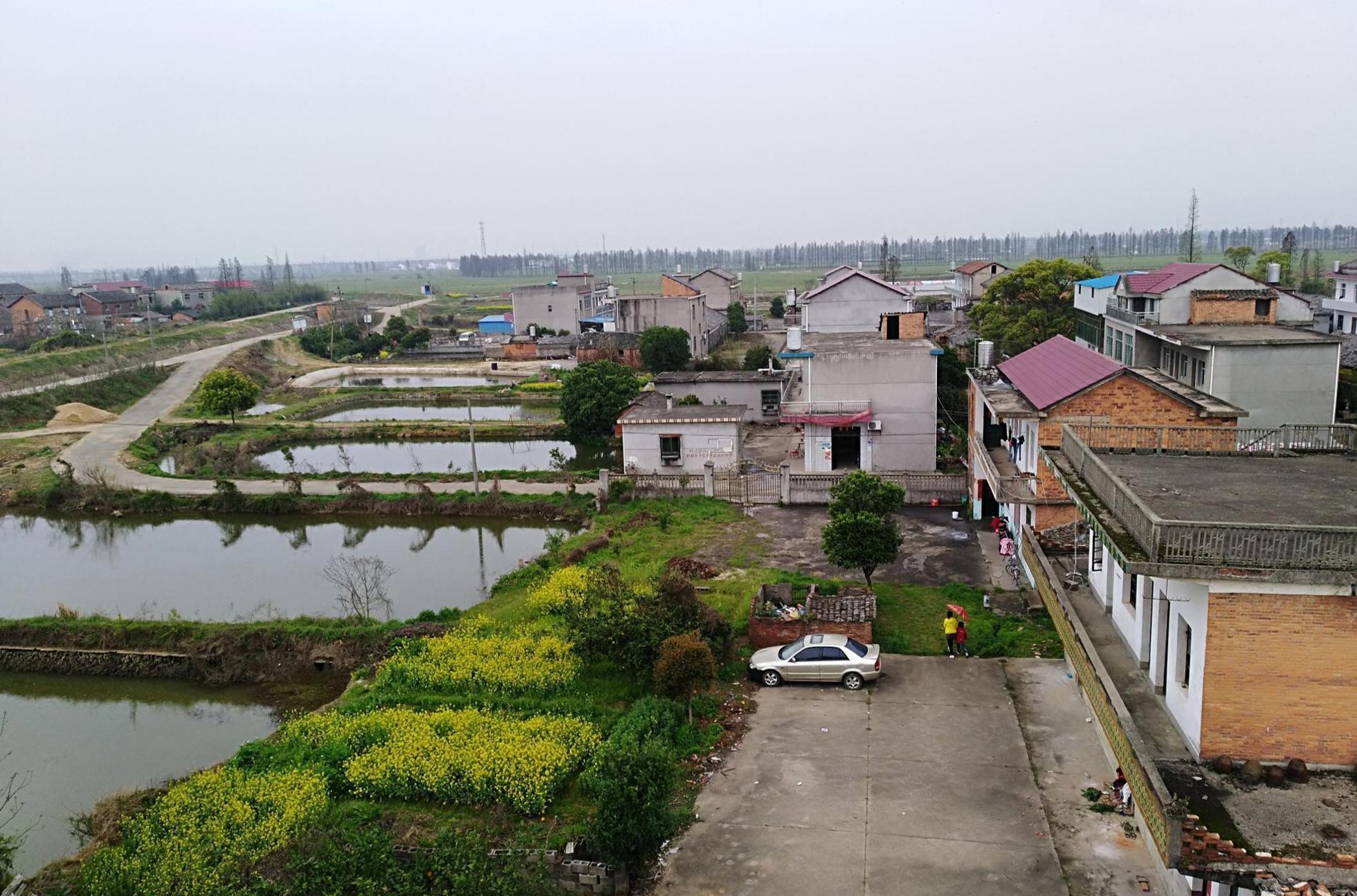 向塘最新发展动态及前景展望