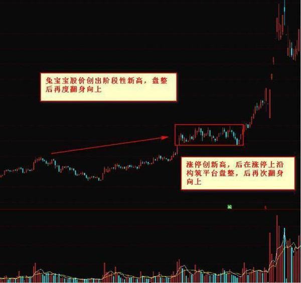 三肖三期必出特马,持续性实施方案_跨界版8.876