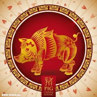 摇钱树四肖八码期期三码必中,专业解读评估_时刻版52.815