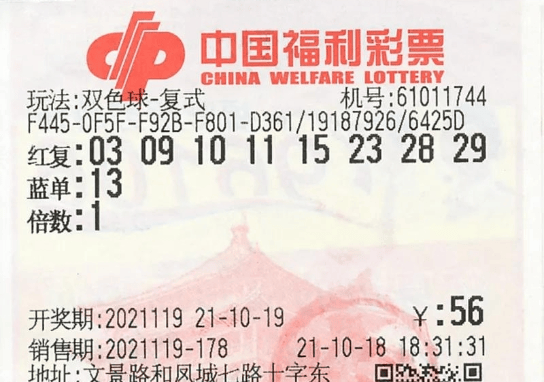 新澳门今晚开奖结果号码是多少,持续改进策略_明亮版7.202
