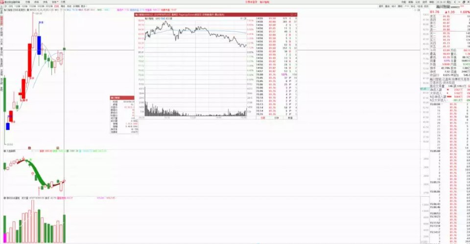 新澳门今晚开特马开,全面信息解释定义_旗舰设备版14.537